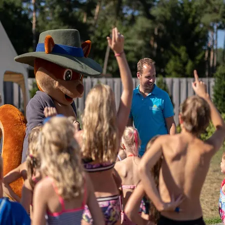 샬레 Boslodge Vessem